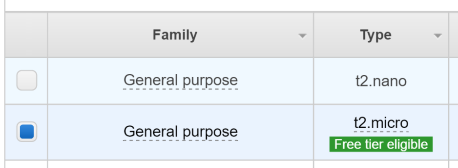 aws-t2-micro-free-tier-instance, Image by Dustin Moris Gorski