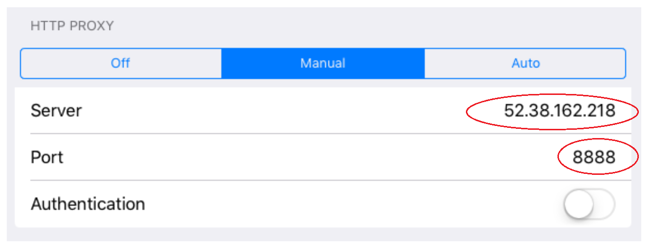 ios-proxy-settings, Image by Dustin Moris Gorski