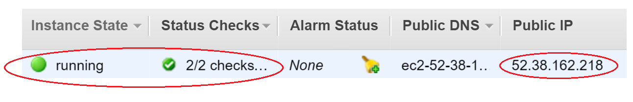 aws-ec2-instance-status-and-public-ip, Image by Dustin Moris Gorski