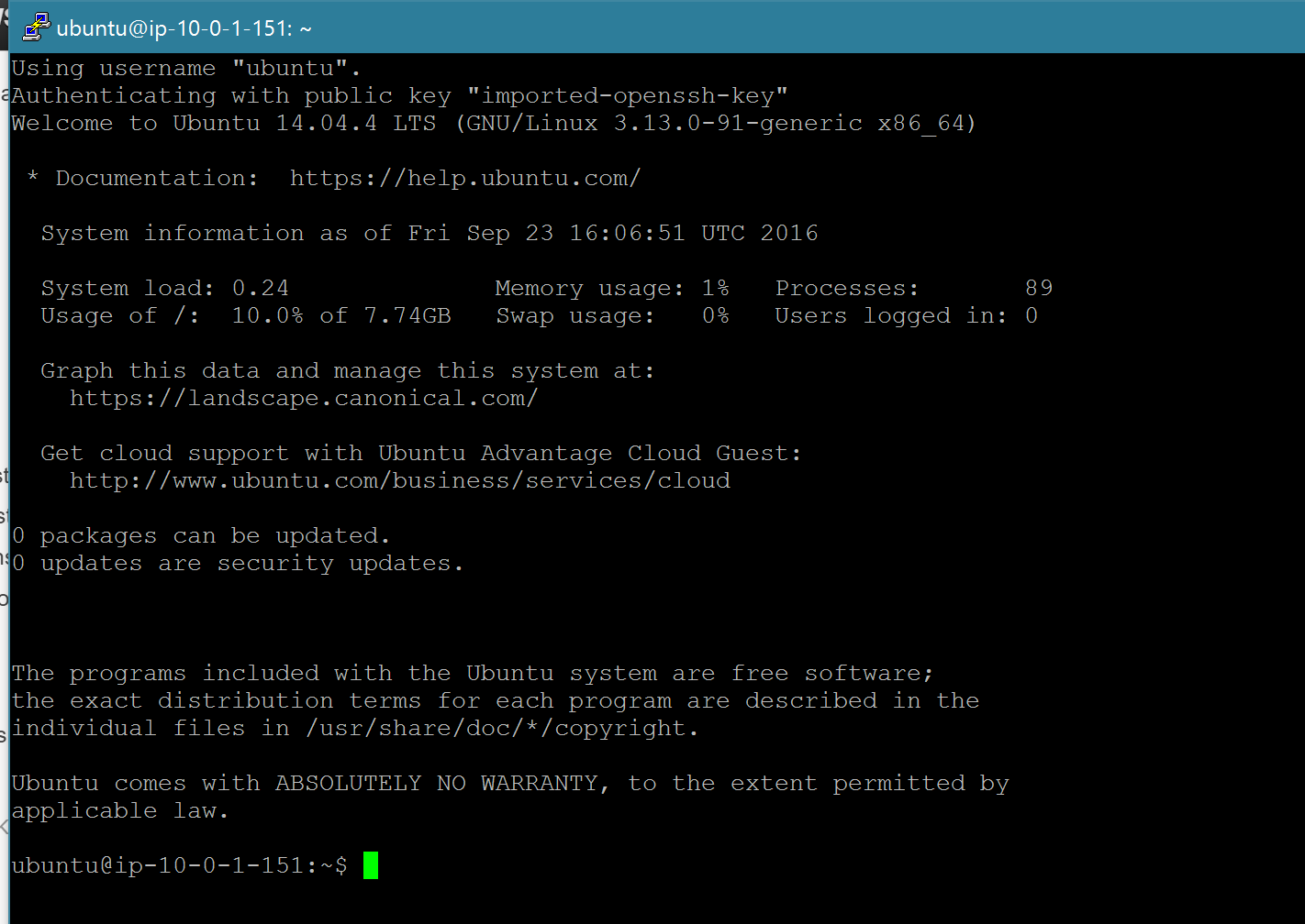 putty-ssh-terminal, Image by Dustin Moris Gorski